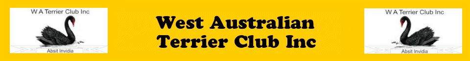 WEST AUSTRALIAN TERRIER CLUB (INC)